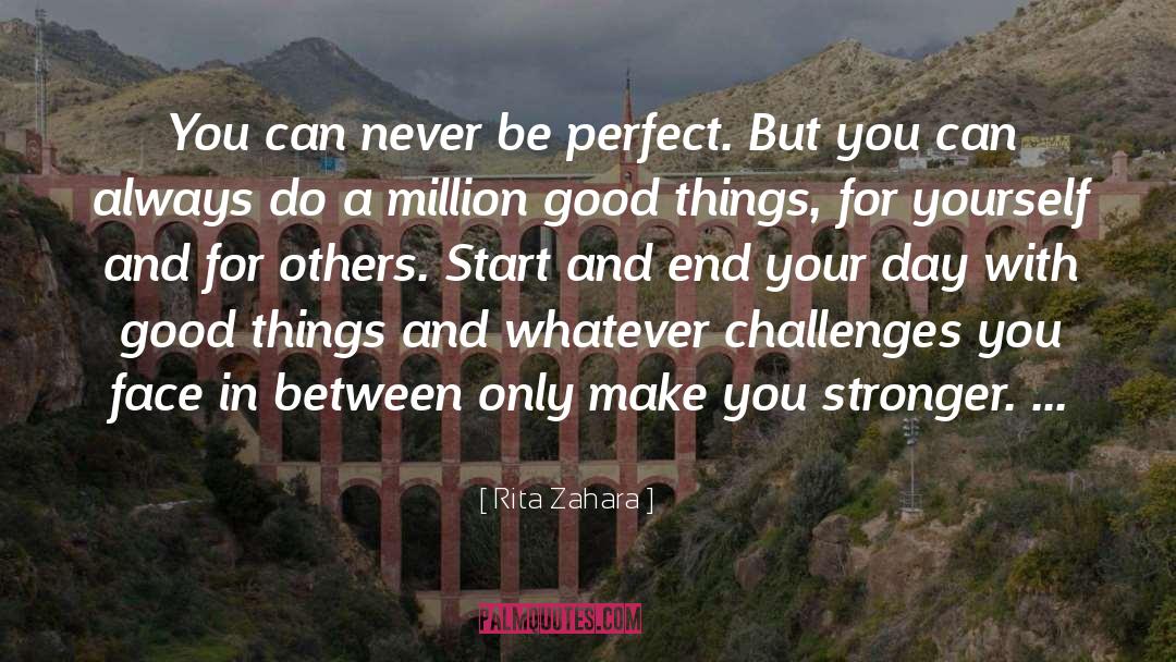 Perfect And Good quotes by Rita Zahara