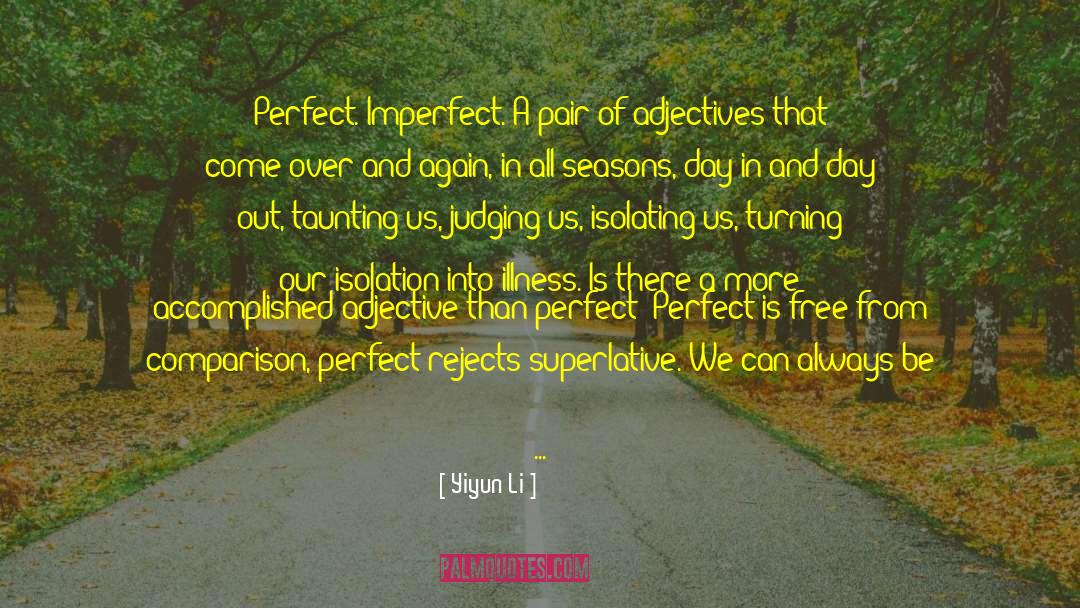 Perfect And Good quotes by Yiyun Li