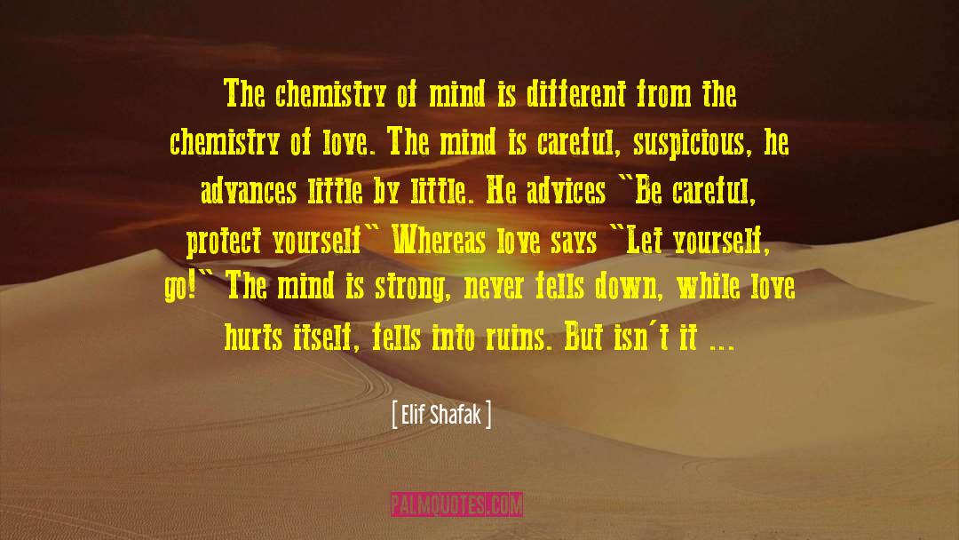 Perfect Chemistry Love quotes by Elif Shafak