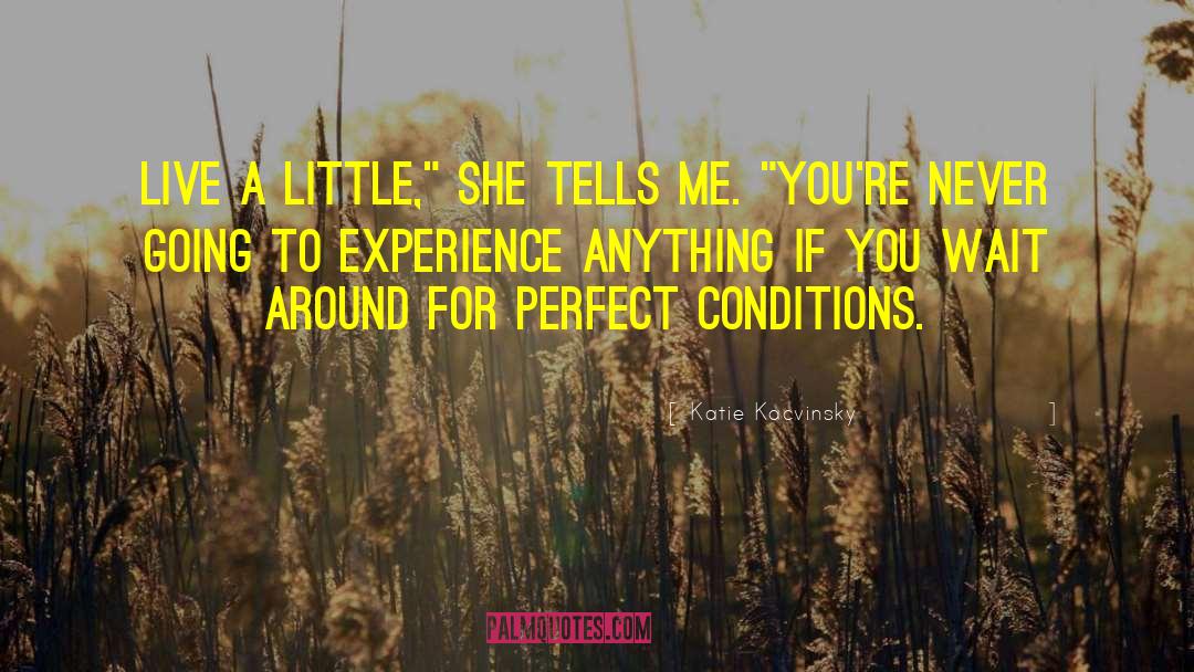 Perfect Conditions quotes by Katie Kacvinsky