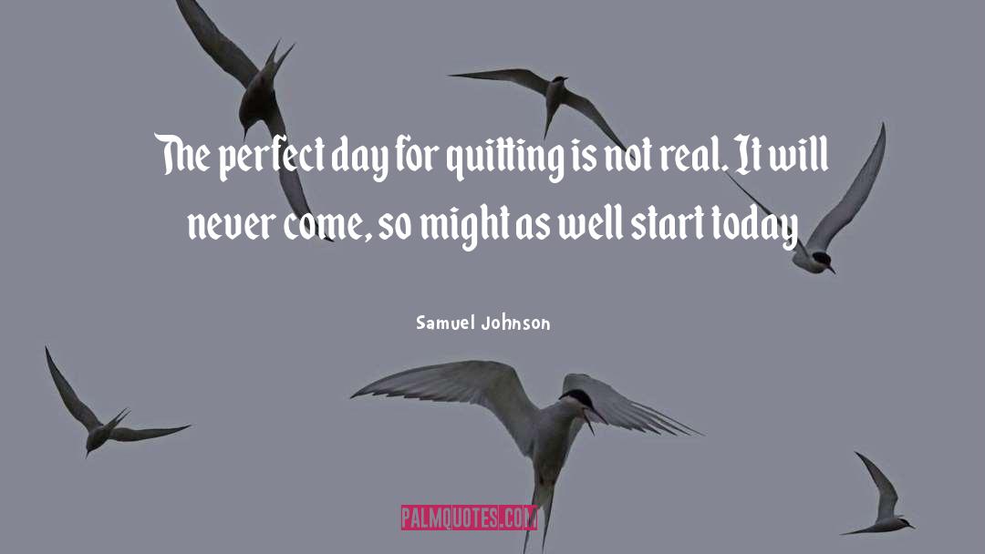 Perfect Days quotes by Samuel Johnson