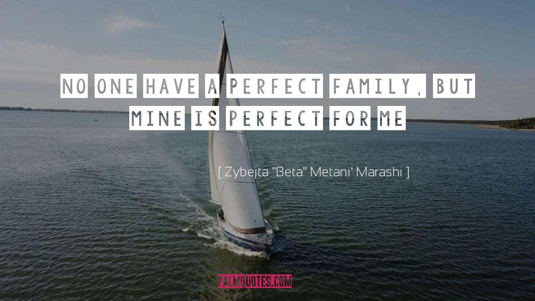 Perfect Family quotes by Zybejta 