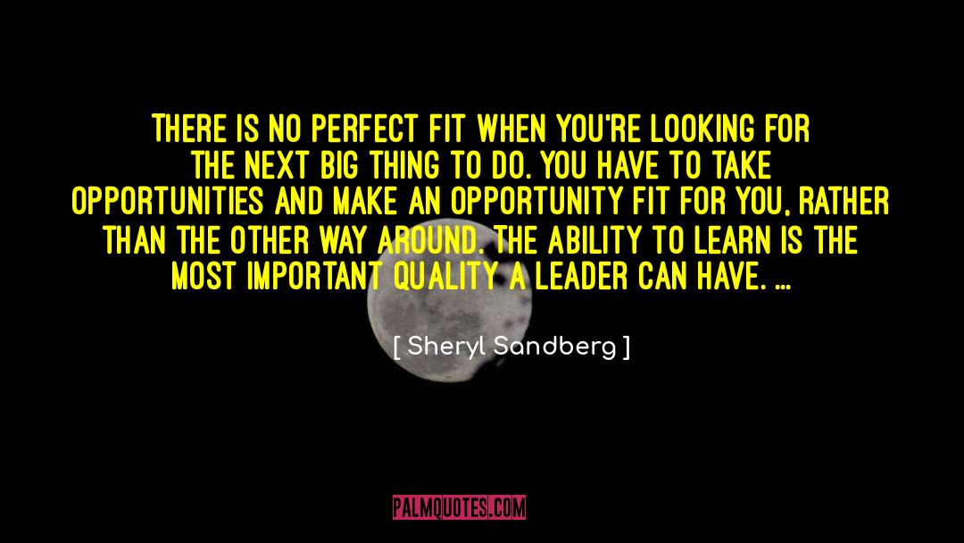 Perfect Fit quotes by Sheryl Sandberg