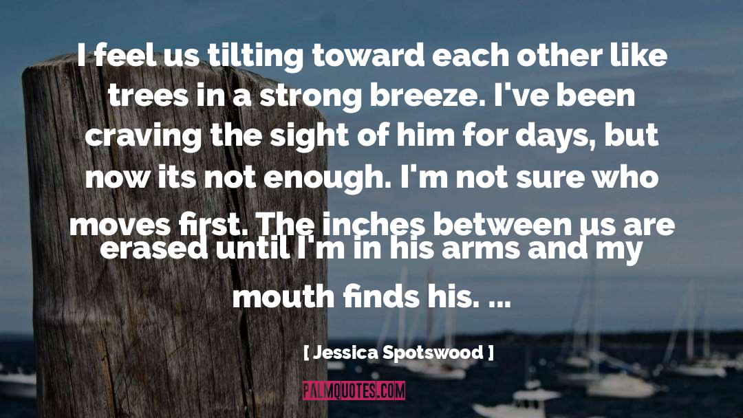 Perfect For Each Other quotes by Jessica Spotswood