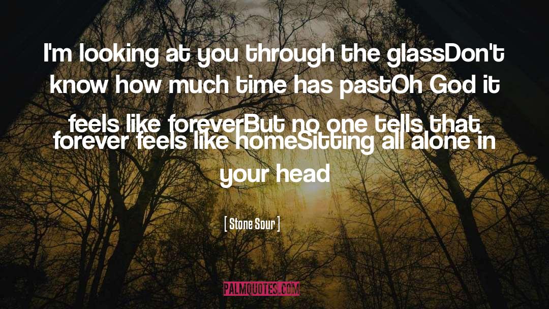 Perfect Forever quotes by Stone Sour