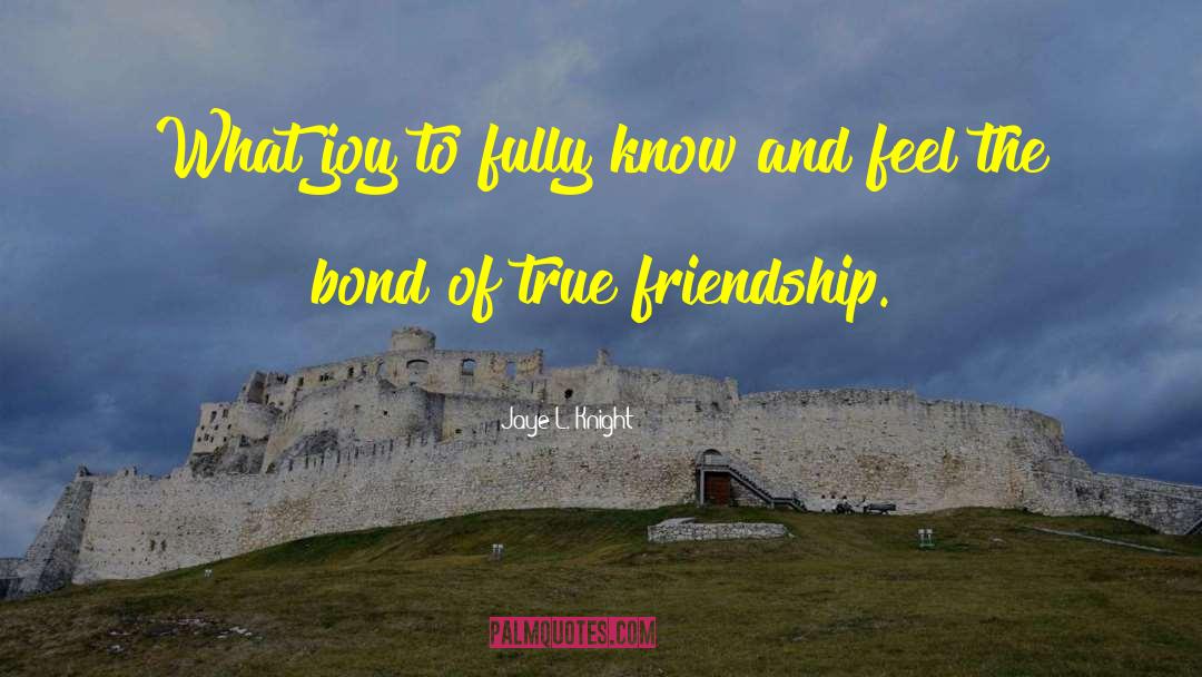 Perfect Friendship quotes by Jaye L. Knight
