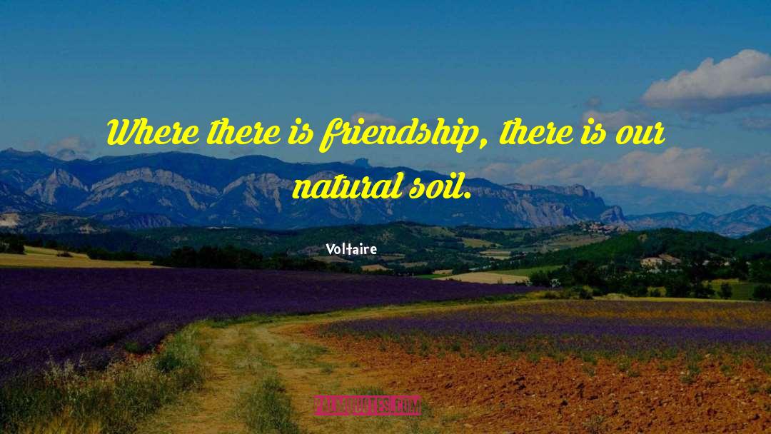 Perfect Friendship quotes by Voltaire