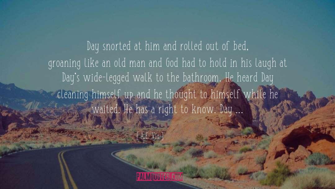 Perfect Guy quotes by A.E. Via