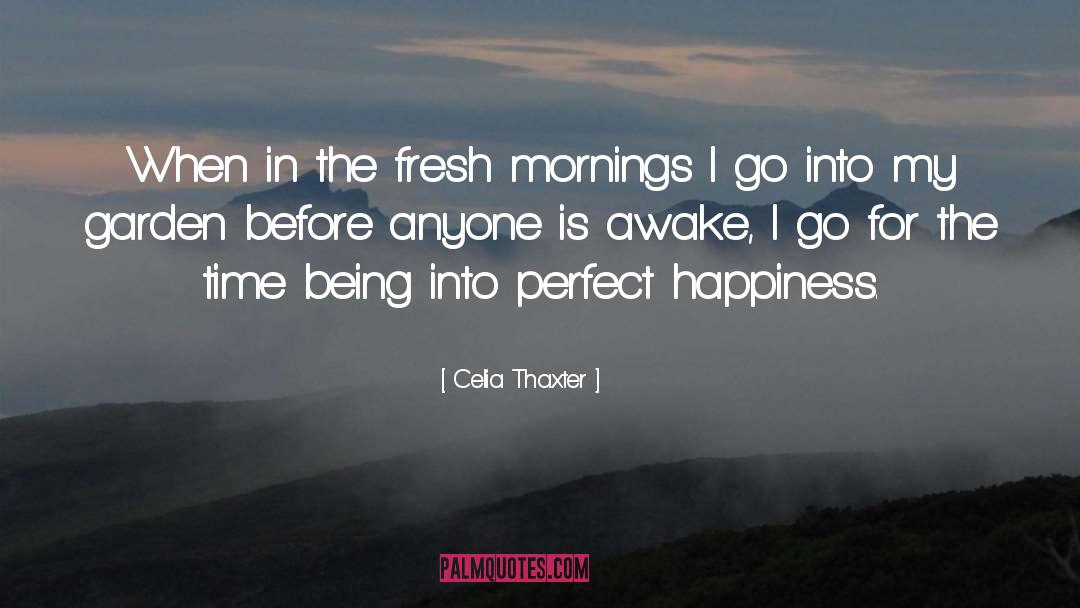 Perfect Happiness quotes by Celia Thaxter