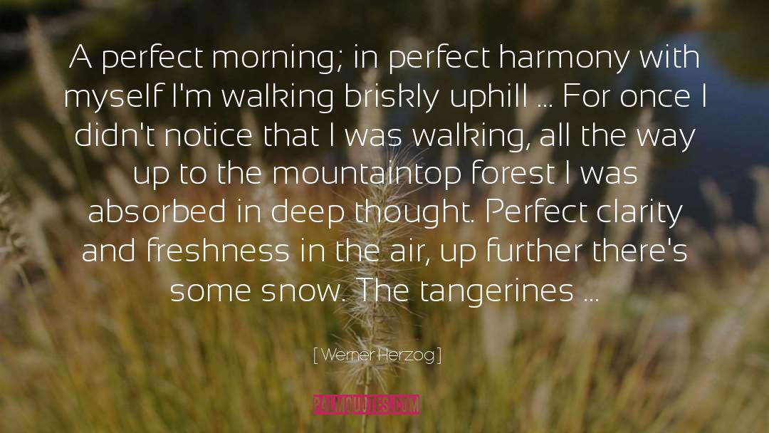 Perfect Harmony quotes by Werner Herzog