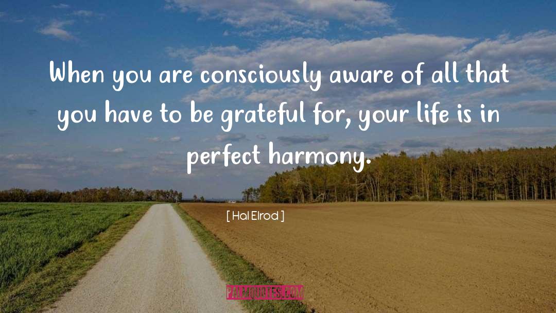Perfect Harmony quotes by Hal Elrod
