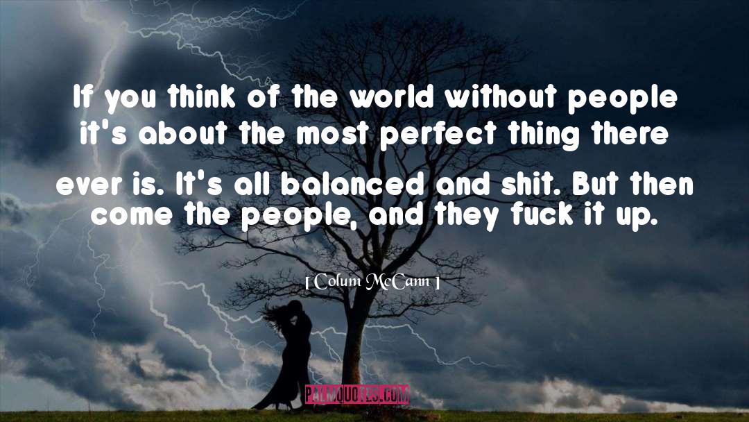 Perfect Hero quotes by Colum McCann