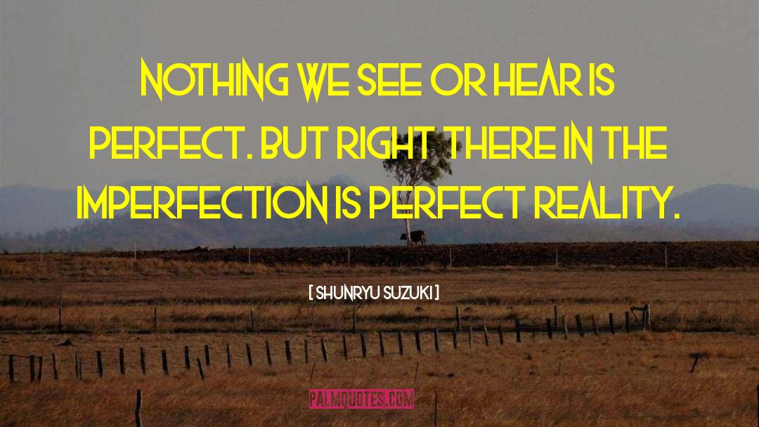 Perfect Imperfection quotes by Shunryu Suzuki