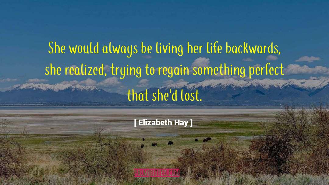 Perfect Imperfection quotes by Elizabeth Hay