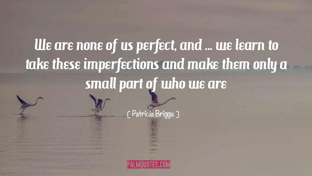 Perfect Imperfection quotes by Patricia Briggs