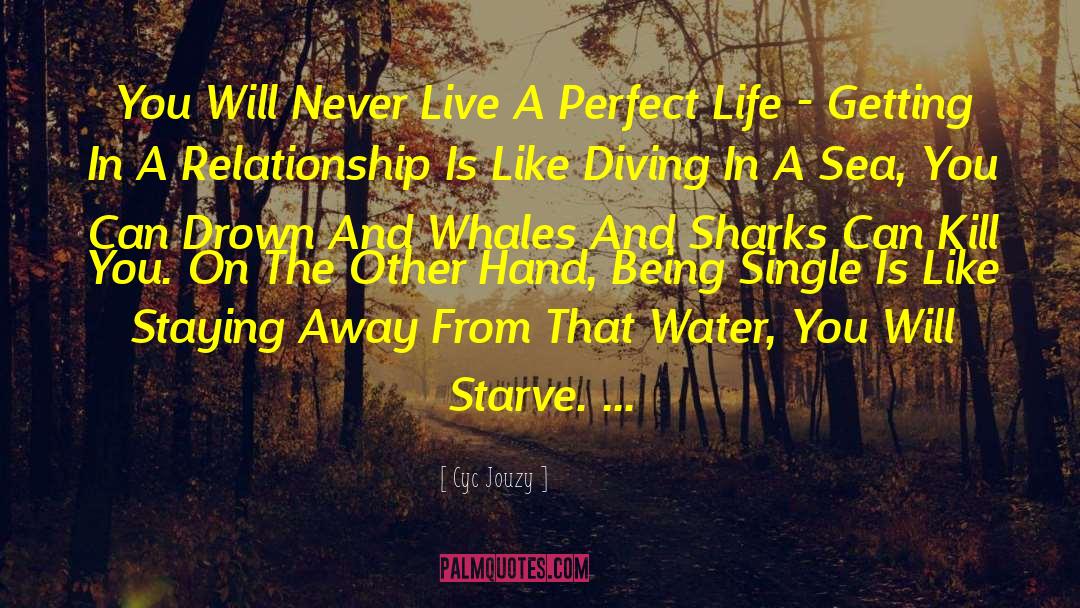 Perfect Life quotes by Cyc Jouzy