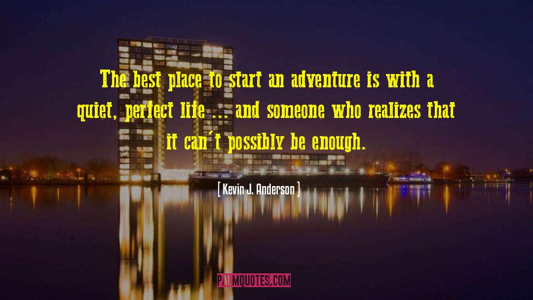 Perfect Life quotes by Kevin J. Anderson