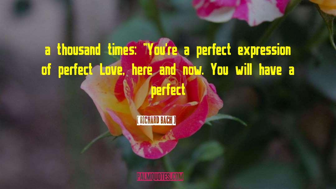 Perfect Love quotes by Richard Bach