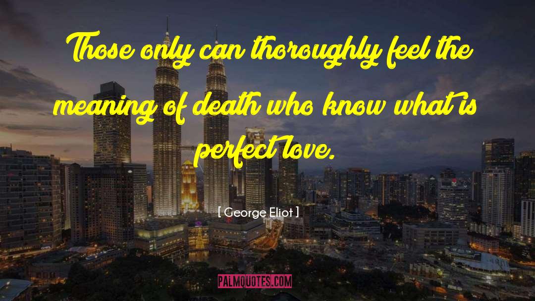 Perfect Love quotes by George Eliot