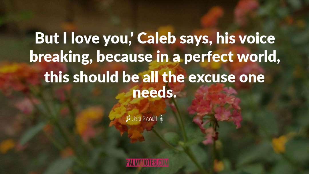 Perfect Lover quotes by Jodi Picoult