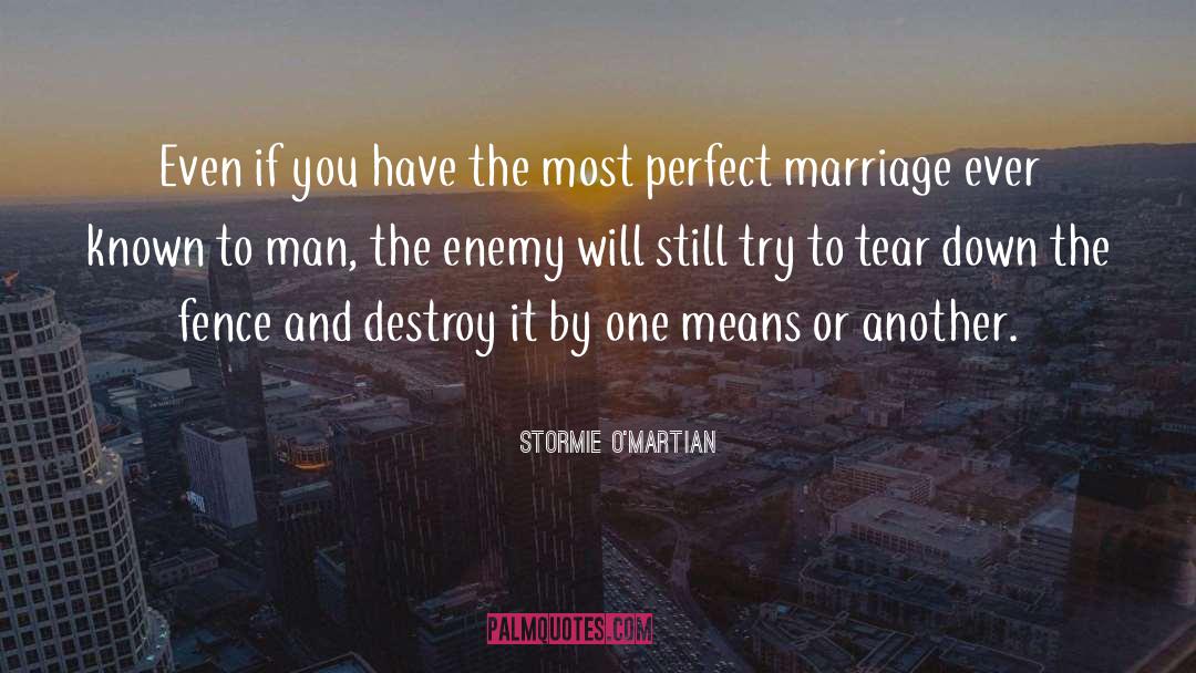 Perfect Marriage quotes by Stormie O'martian