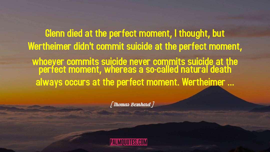 Perfect Moment quotes by Thomas Bernhard