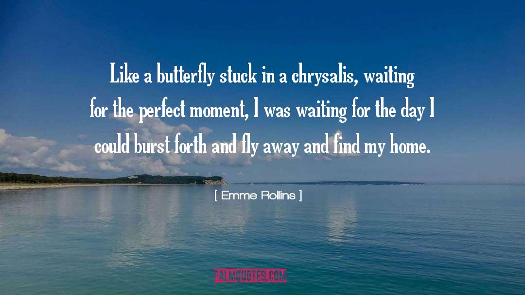 Perfect Moment quotes by Emme Rollins