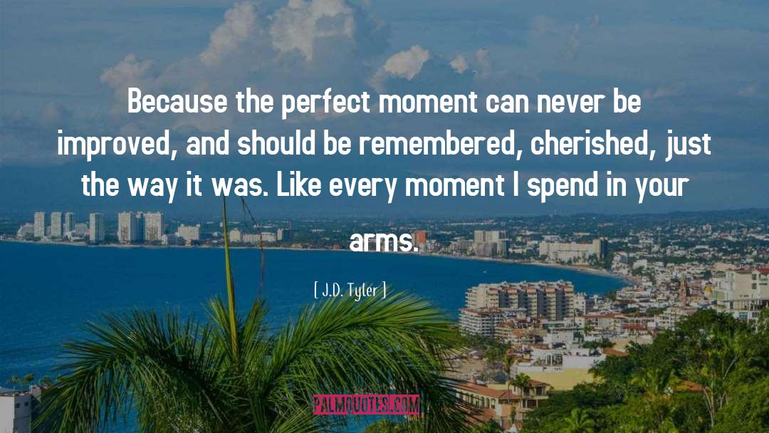 Perfect Moment quotes by J.D. Tyler