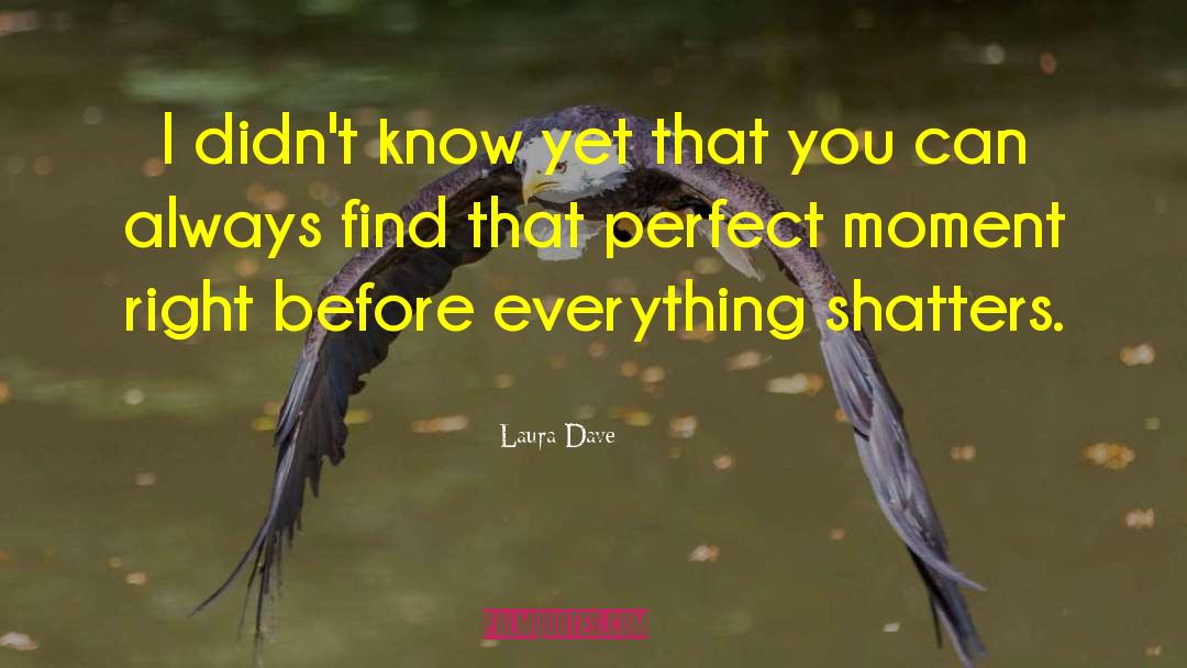 Perfect Moment quotes by Laura Dave