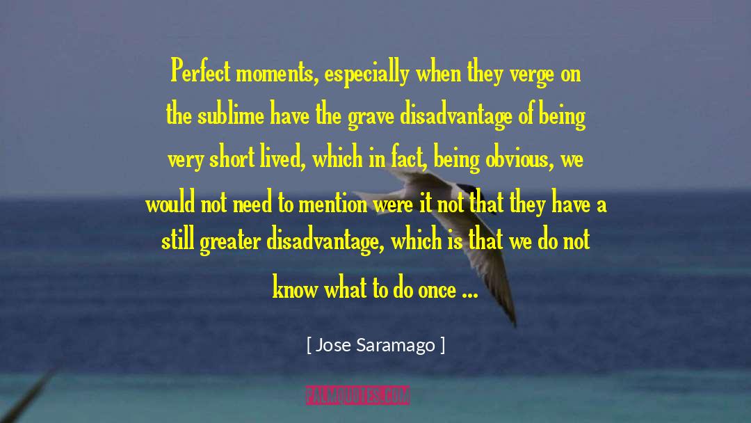 Perfect Moments quotes by Jose Saramago