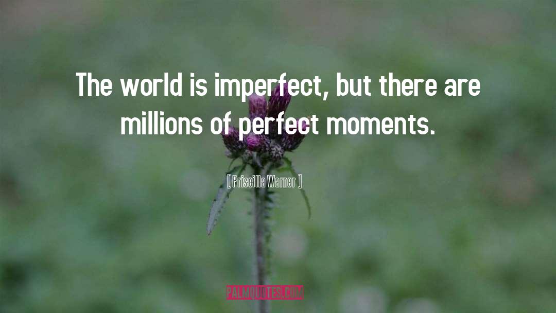 Perfect Moments quotes by Priscilla Warner