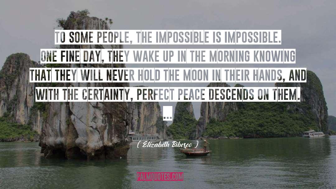 Perfect Peace quotes by Elizabeth Bibesco