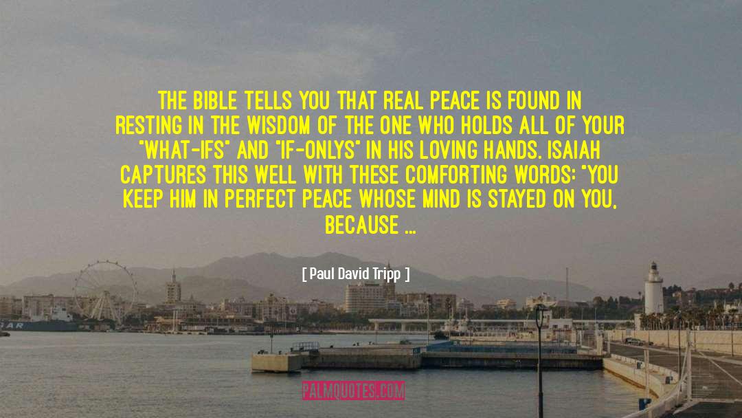 Perfect Peace quotes by Paul David Tripp