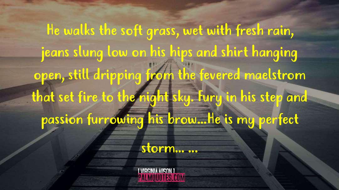 Perfect Storm quotes by Virginia Alison