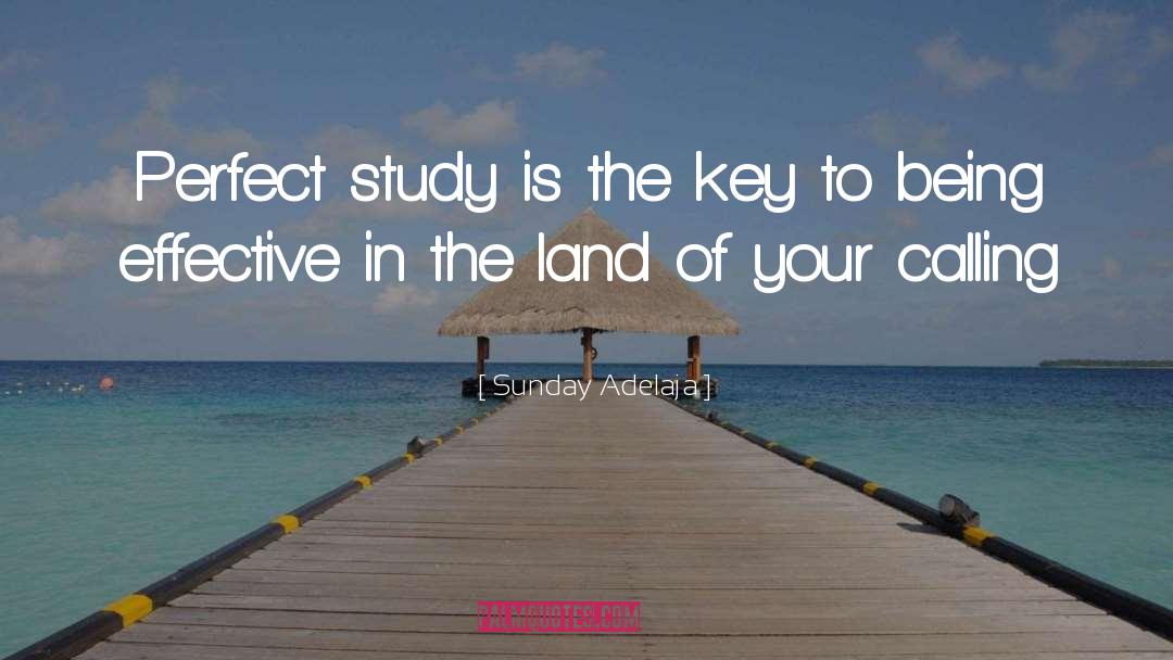 Perfect Study quotes by Sunday Adelaja