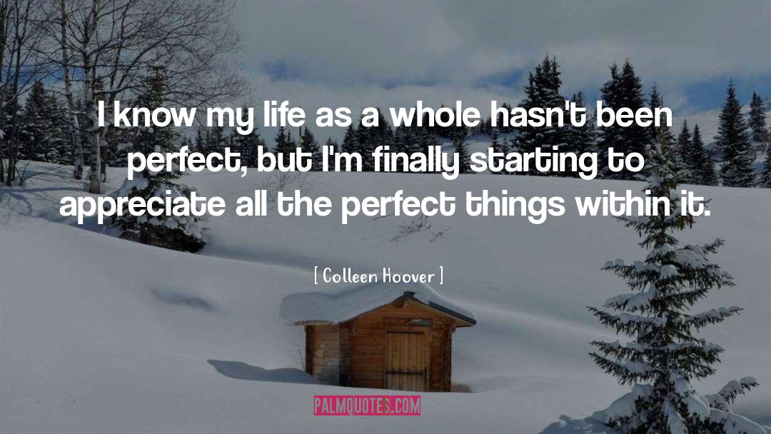 Perfect Things quotes by Colleen Hoover