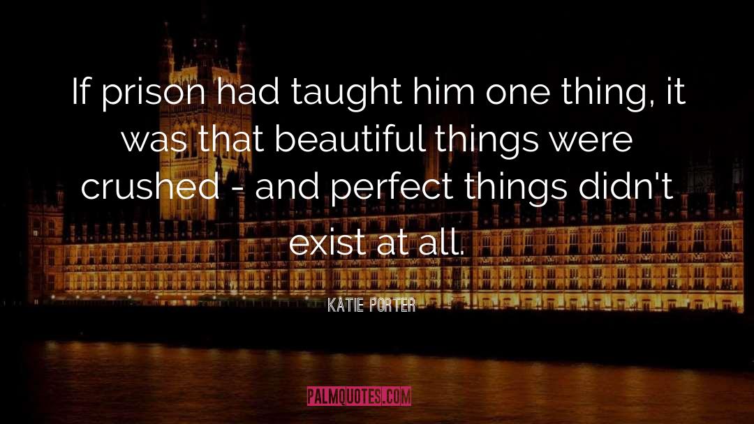 Perfect Things quotes by Katie Porter