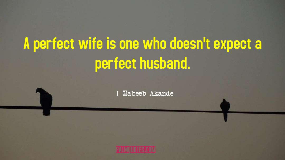 Perfect Wife quotes by Habeeb Akande