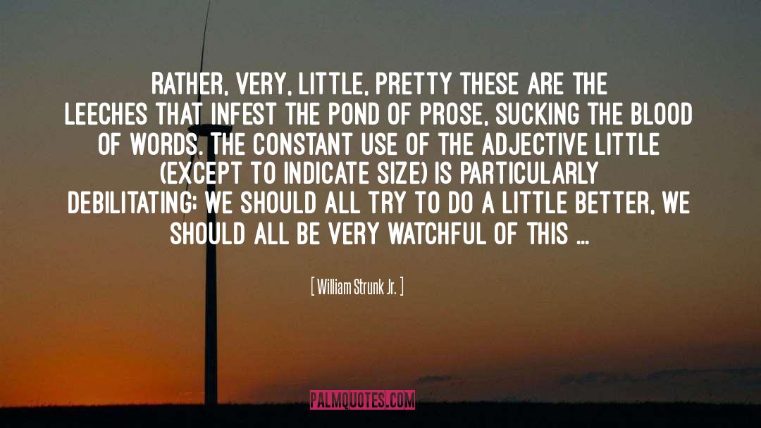 Perfect Words quotes by William Strunk Jr.