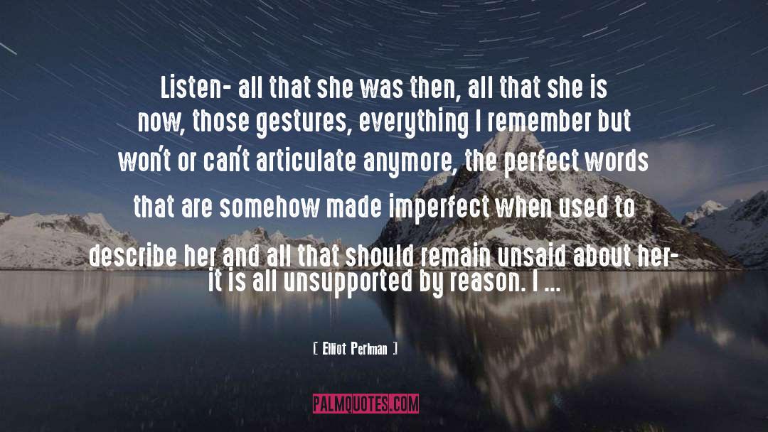 Perfect Words quotes by Elliot Perlman