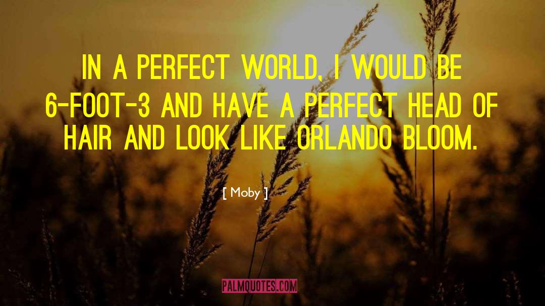 Perfect World quotes by Moby