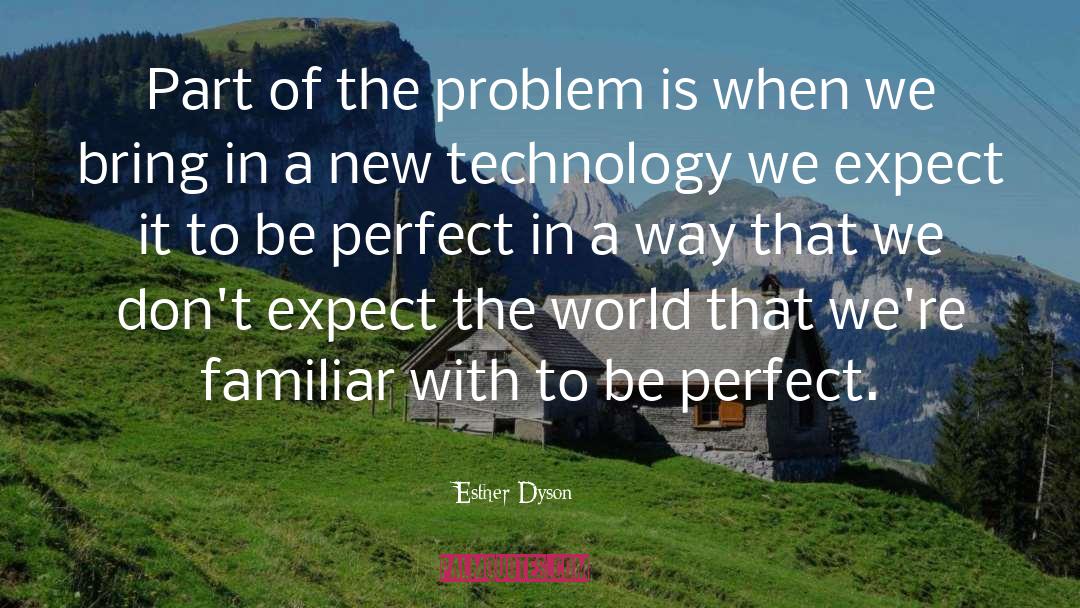 Perfect World quotes by Esther Dyson