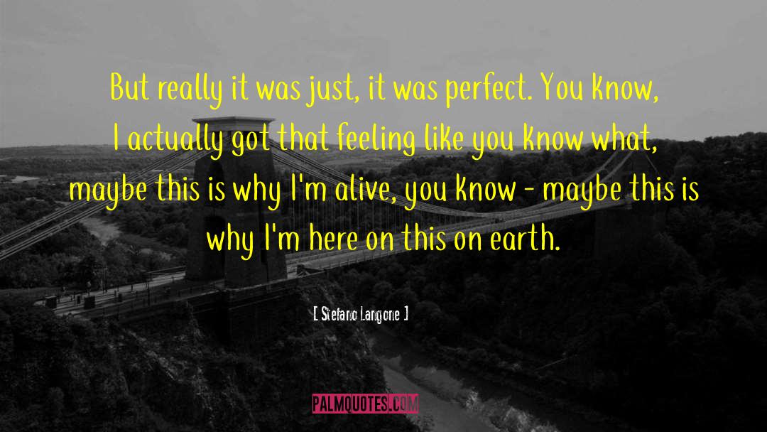 Perfect You quotes by Stefano Langone