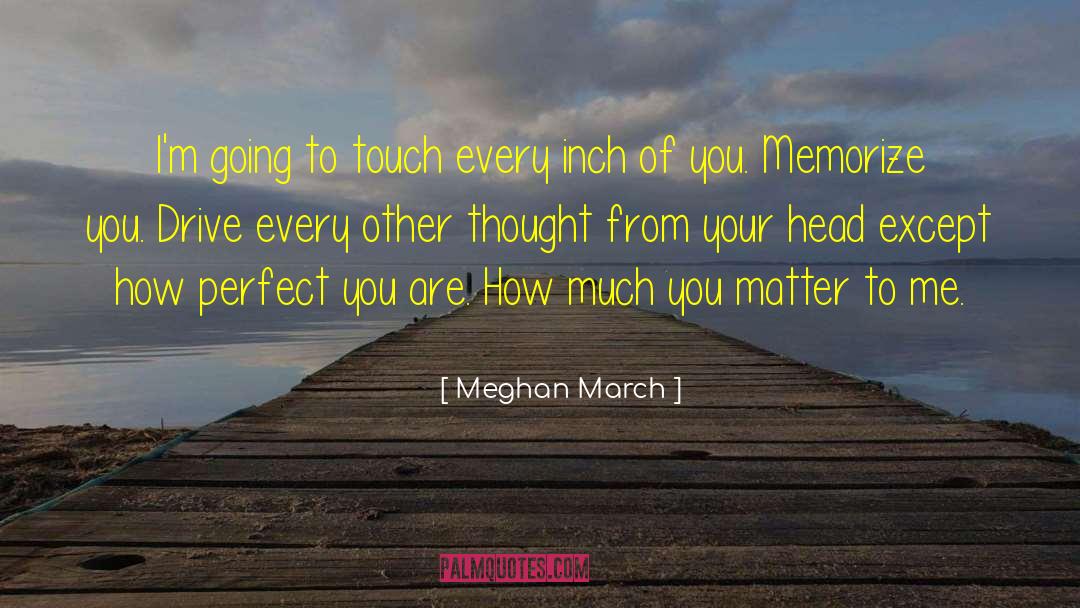 Perfect You quotes by Meghan March