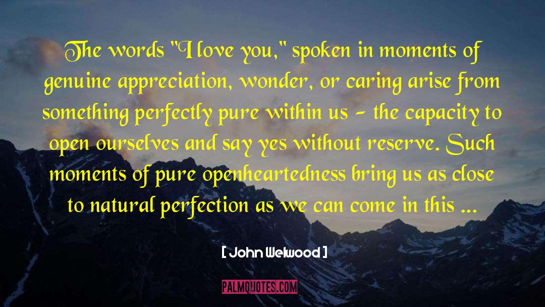 Perfection And Confusion quotes by John Welwood