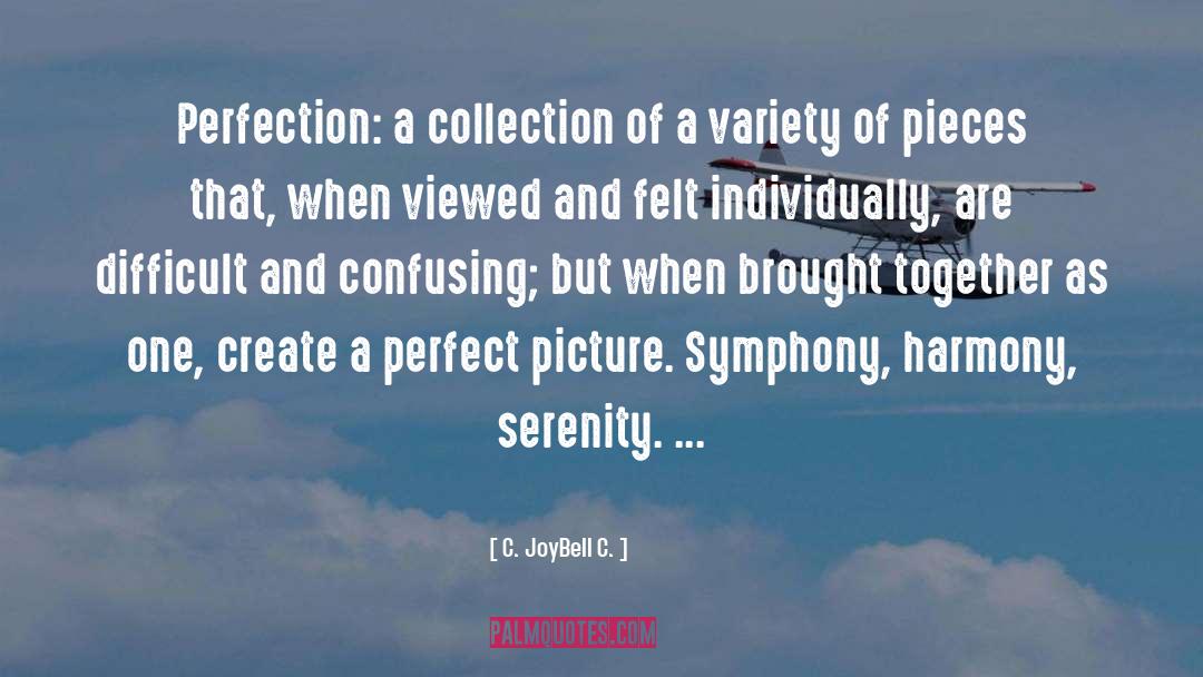 Perfection And Confusion quotes by C. JoyBell C.