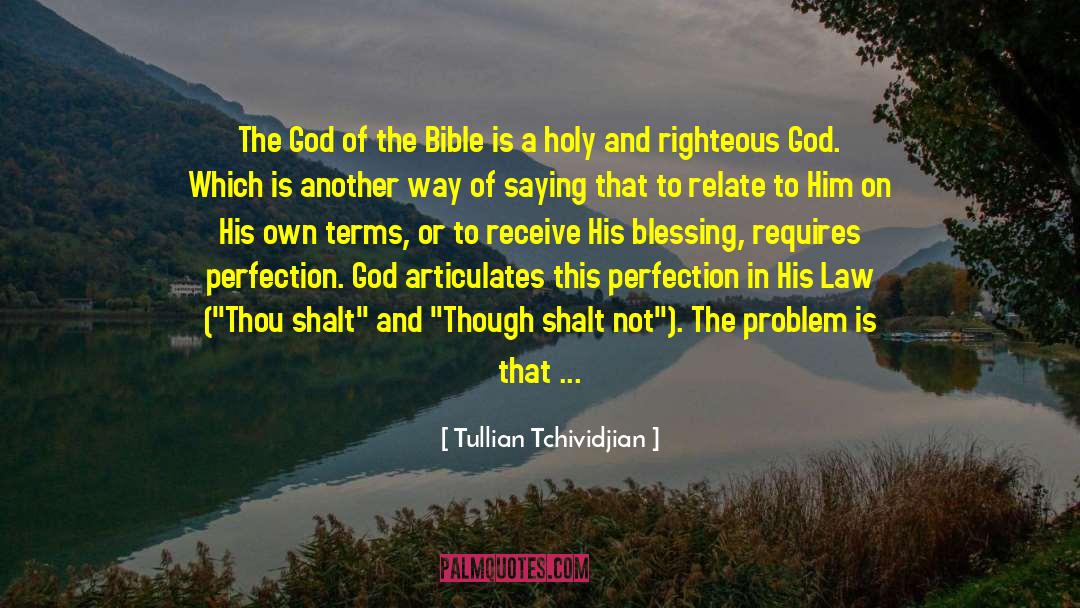 Perfection And Imperfection quotes by Tullian Tchividjian
