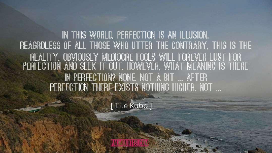 Perfection Is Unattainable quotes by Tite Kubo