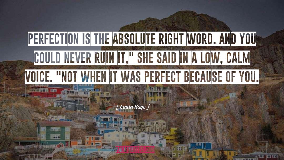 Perfection quotes by Laura Kaye