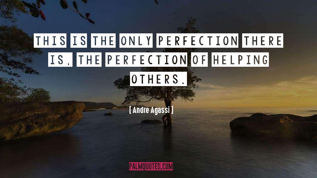 Perfection quotes by Andre Agassi